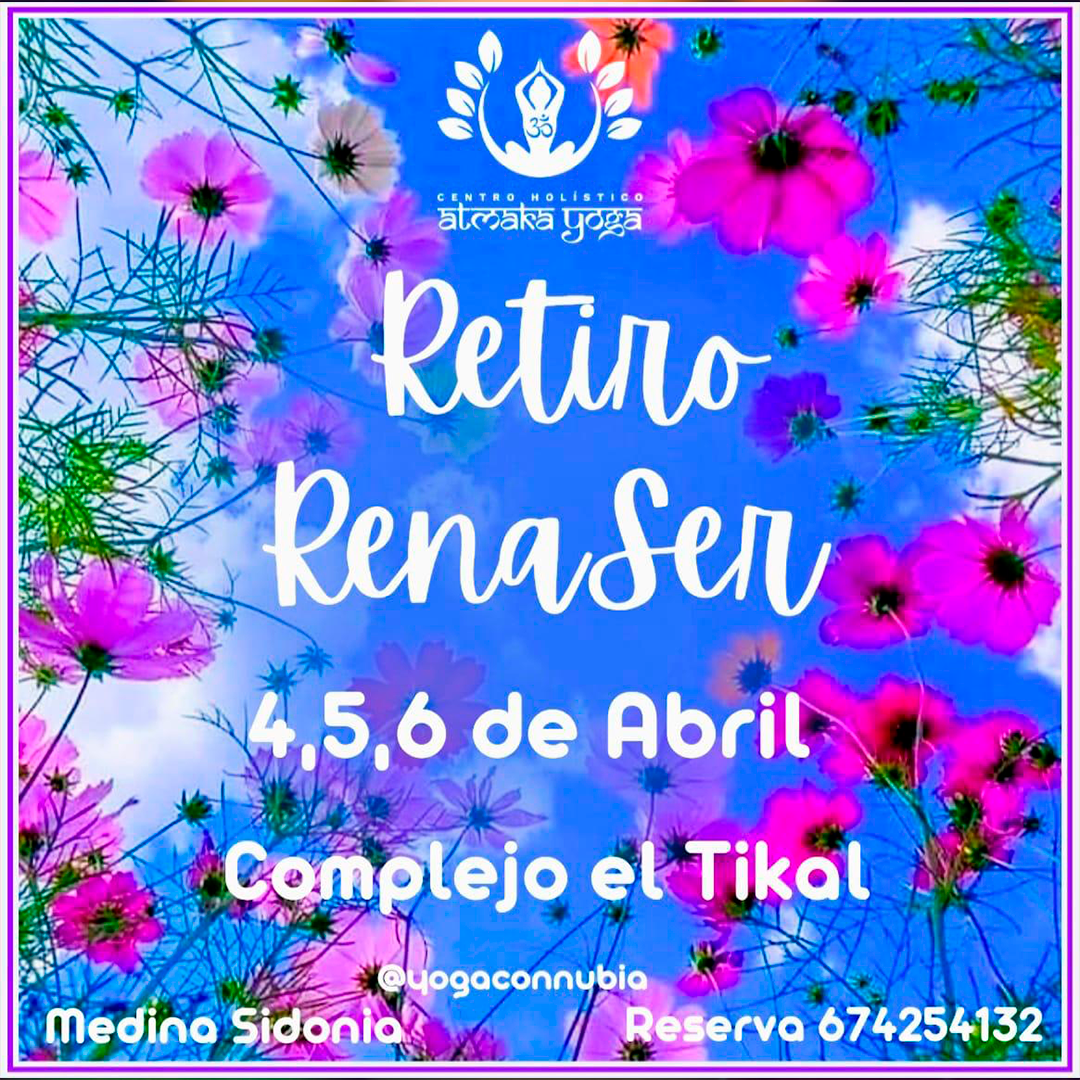 CARTEL 12