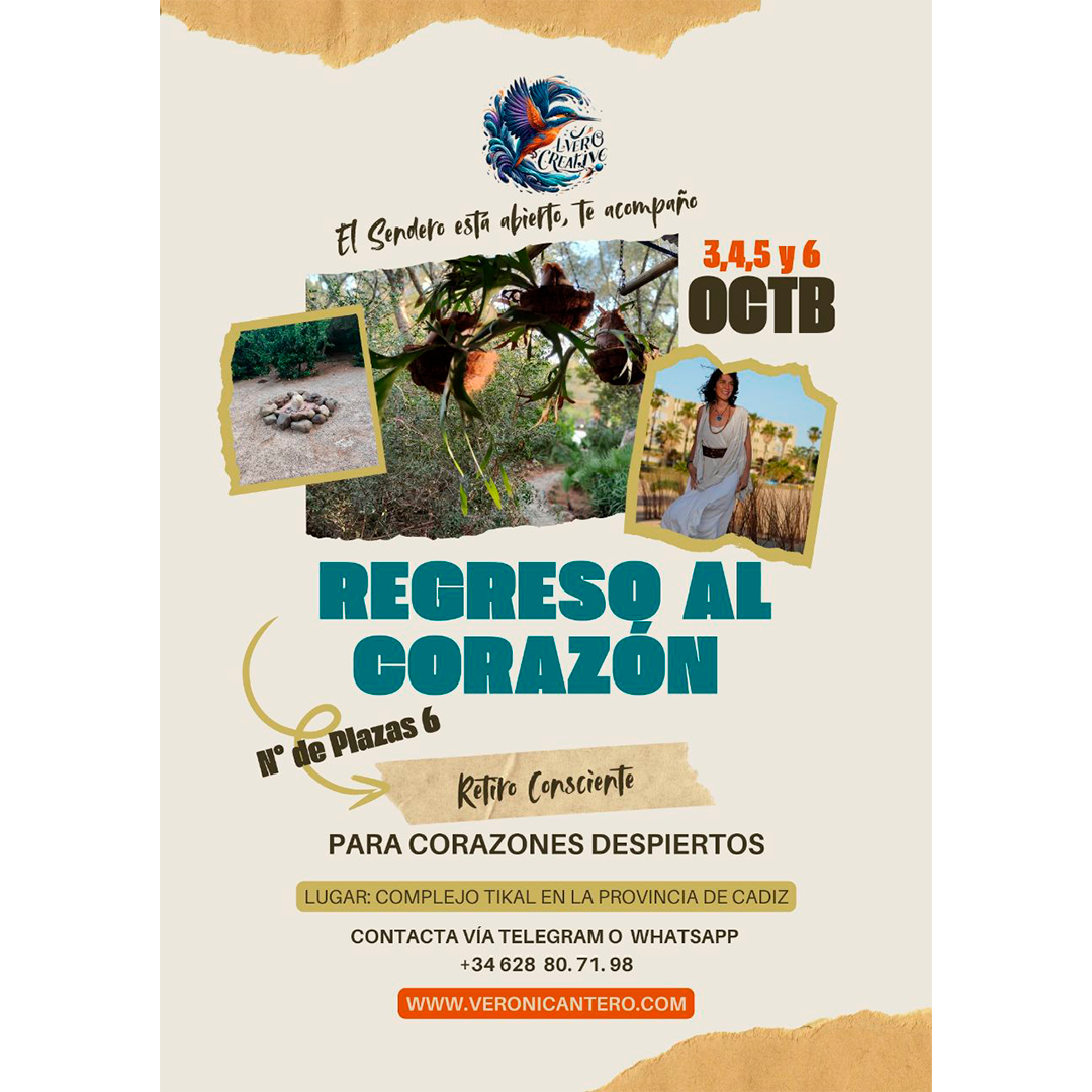 CARTEL 13