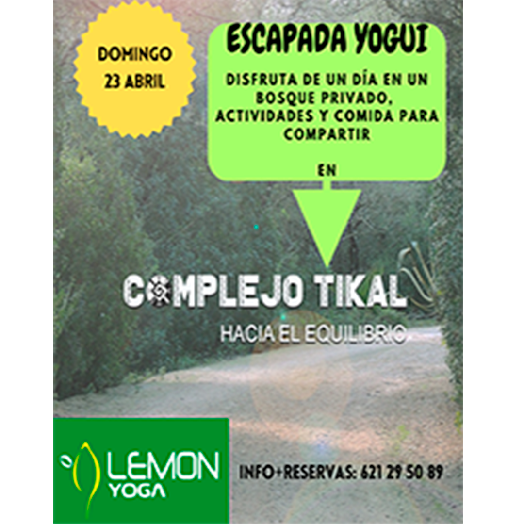 CARTEL 6