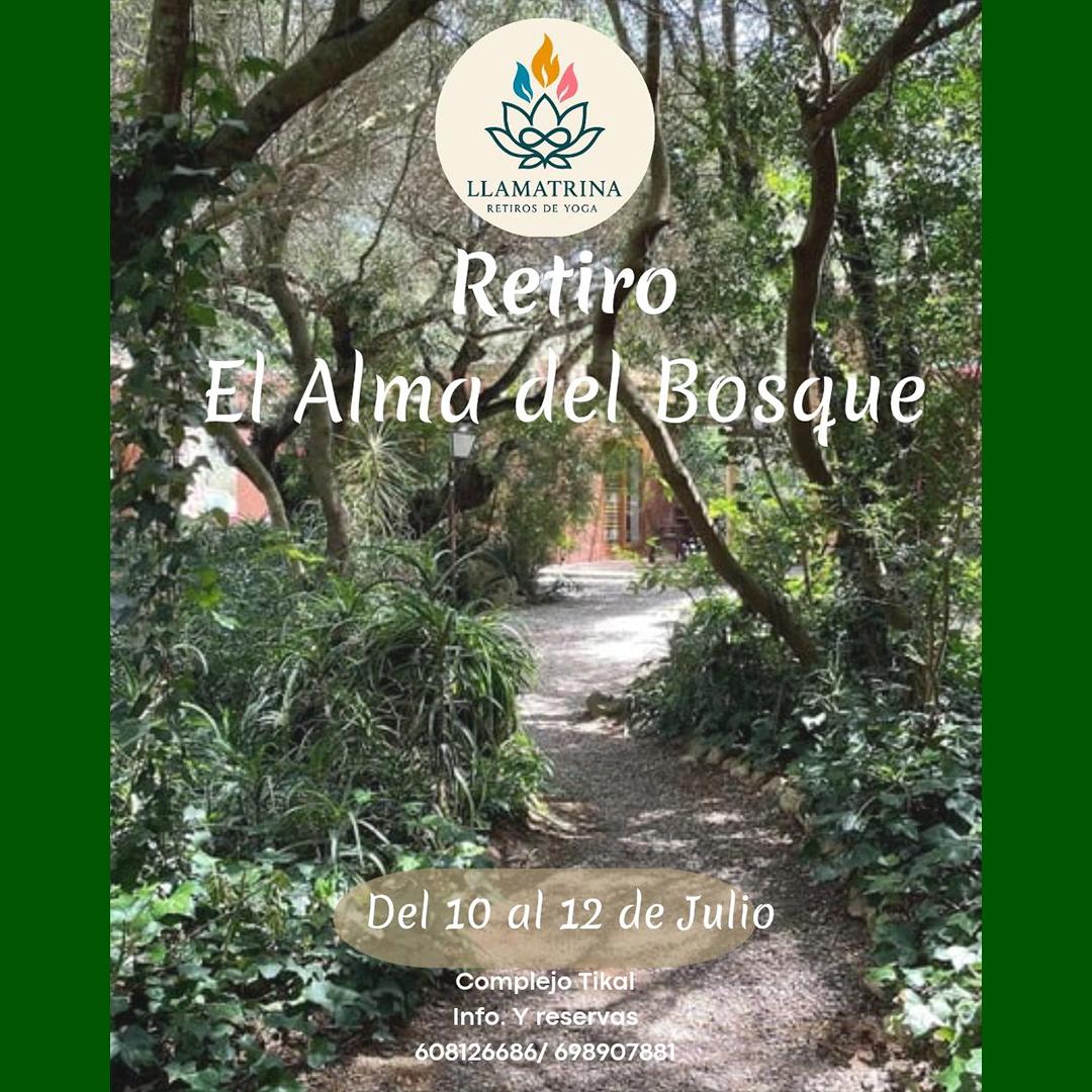 WhatsApp Image 2026-04-06 at 18.13.32